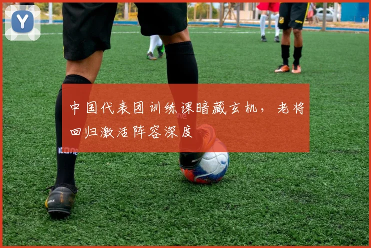 中国代表团训练课暗藏玄机，老将回归激活阵容深度